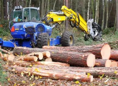 Obrázek: Filtry pro harvestory, filtry pro lesnické stroje